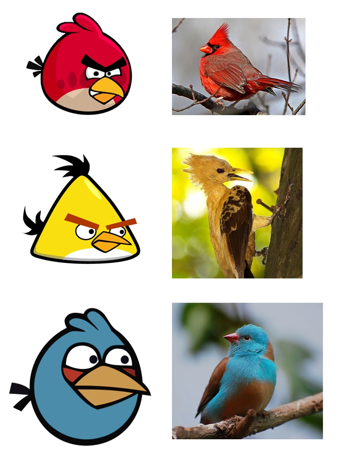 Angry Birds na vida real