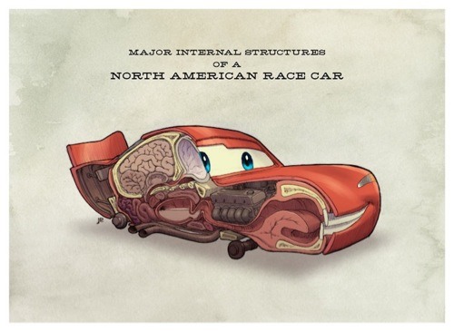 Anatomia de Cars