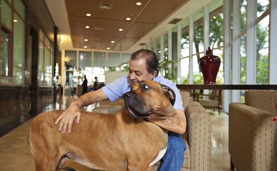 Ennio Araújo faz tratamento contra o câncer e sua cachorra, a Clara, o ajuda nas horas difícies
