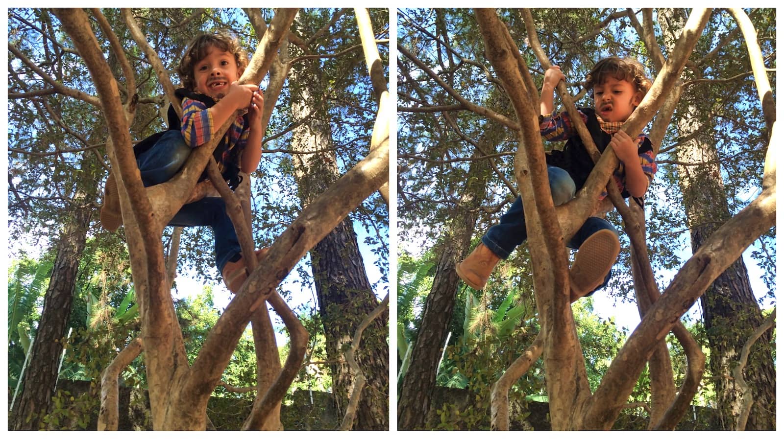 criança subindo em árvore