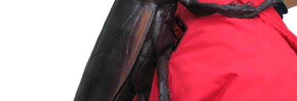 Mega Cockroach – Mochila Barata