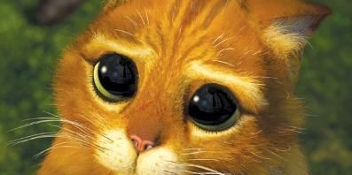 O Gato de Botas – Padawan irá!