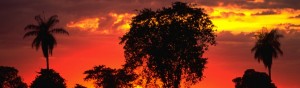 O boticario reserva paraná