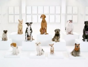 The Bark Side_ 2012 Volkswagen Game Day Commercial Teaser - YouTube