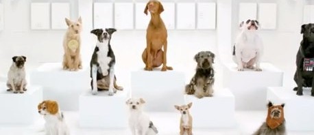 The Bark Side_ 2012 Volkswagen Game Day Commercial Teaser - YouTube