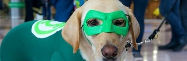 Hal Jordan, de Lanterna Verde