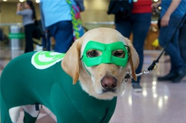 Hal Jordan, de Lanterna Verde