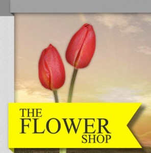 The Flower Shop