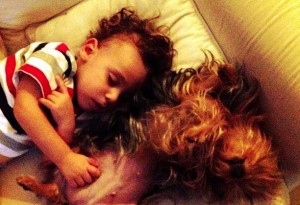 Nina, Padawan e a Mordida