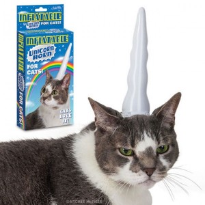 Transforme seu gato em um unicórnio