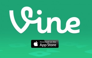 Vine