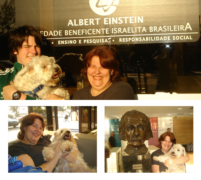 planetree-cachorro Hospital Albert Einstein