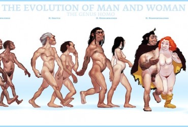 Teoria da Evolução