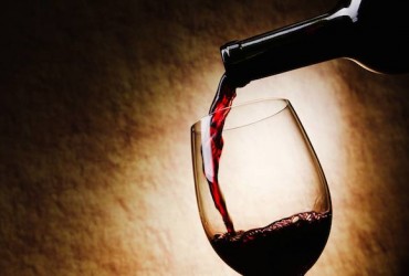 ciência do vinho