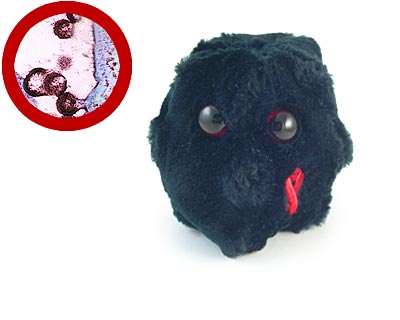 bacteria-hiv