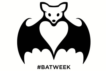 save the bats