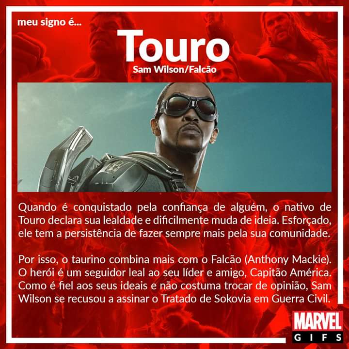 02 Touro Falcão