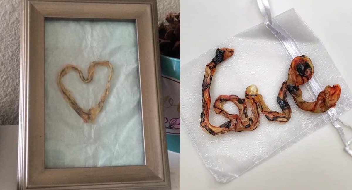 Já pensou em emoldurar o cordão umbilical dos seus filhos e filhas 1