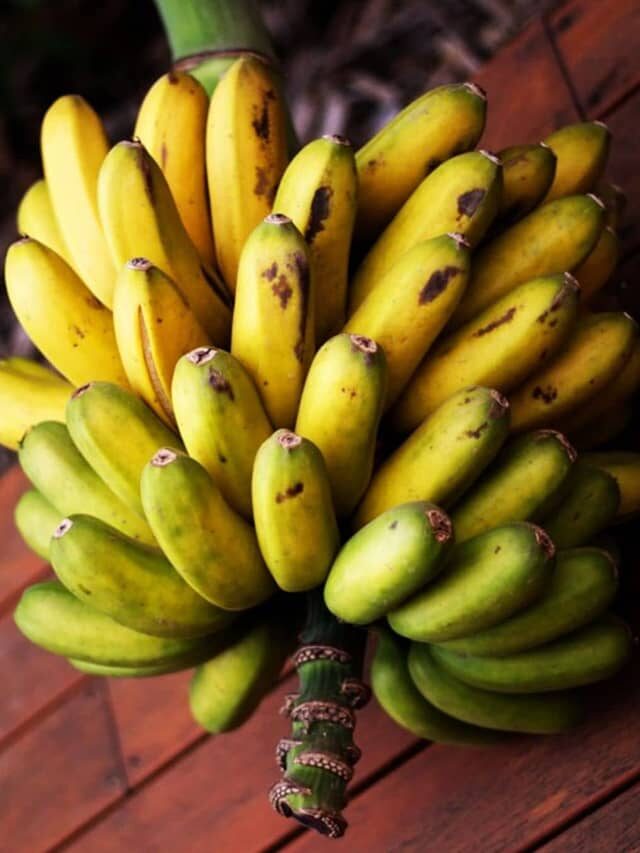 Tipos de banana