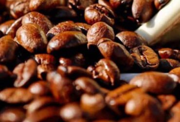 As-principais-variedades-do-café