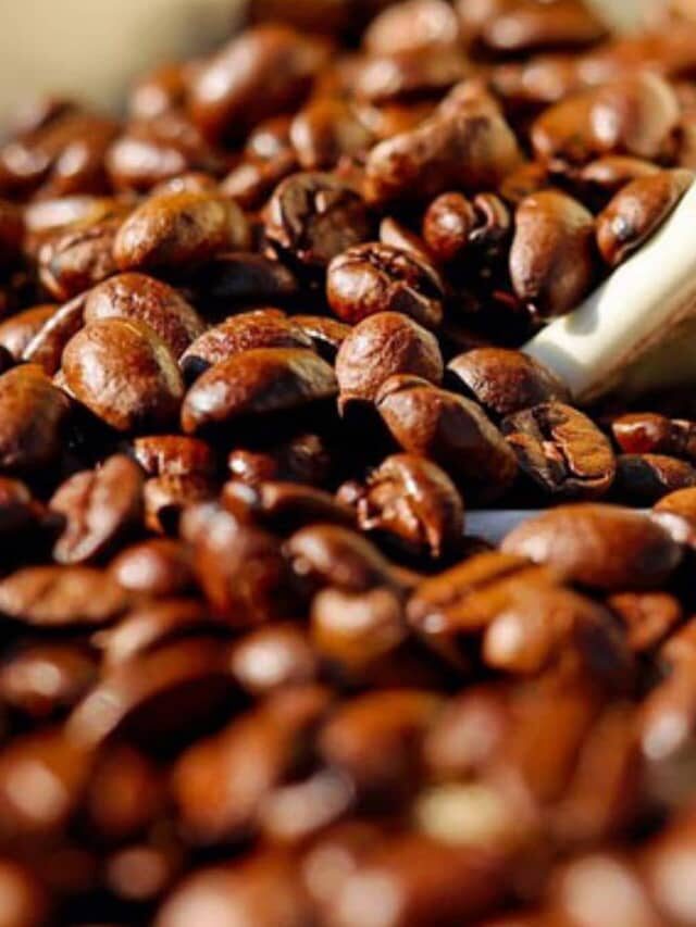 As principais variedades do café