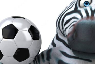 De onde vem o termo ZEBRA no Futebol 5