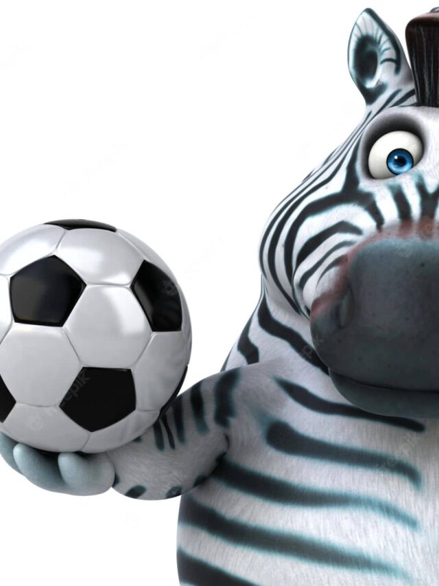 De onde vem o termo ZEBRA no Futebol